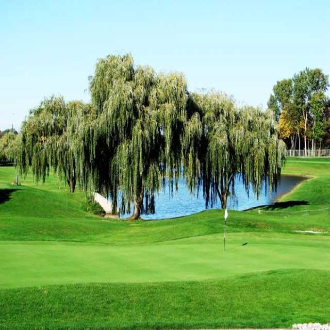 Best Places to Golf - Taylor Meadows Golf Course - Michigan